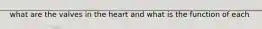 what are the valves in the heart and what is the function of each