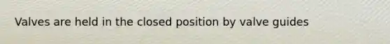 Valves are held in the closed position by valve guides