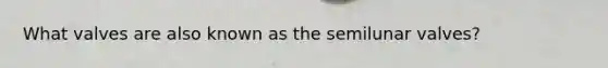 What valves are also known as the semilunar valves?