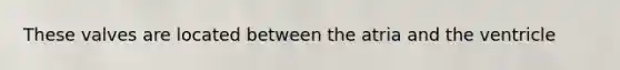 These valves are located between the atria and the ventricle