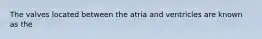 The valves located between the atria and ventricles are known as the