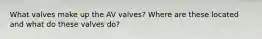 What valves make up the AV valves? Where are these located and what do these valves do?