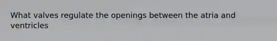 What valves regulate the openings between the atria and ventricles