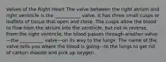 Valves of the Right Heart The valve between the right atrium and right ventricle is the ___________ valve. It has three small cusps or leaflets of tissue that open and close. The cusps allow the blood to flow from the atrium into the ventricle, but not in reverse. From the right ventricle, the blood passes through another valve—the __________ valve—on its way to the lungs. The name of the valve tells you where the blood is going—to the lungs to get rid of carbon dioxide and pick up oxygen.