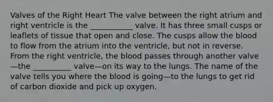 Valves of the Right Heart The valve between the right atrium and right ventricle is the ___________ valve. It has three small cusps or leaflets of tissue that open and close. The cusps allow the blood to flow from the atrium into the ventricle, but not in reverse. From the right ventricle, the blood passes through another valve—the __________ valve—on its way to the lungs. The name of the valve tells you where the blood is going—to the lungs to get rid of carbon dioxide and pick up oxygen.