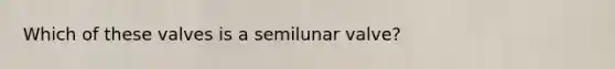 Which of these valves is a semilunar valve?