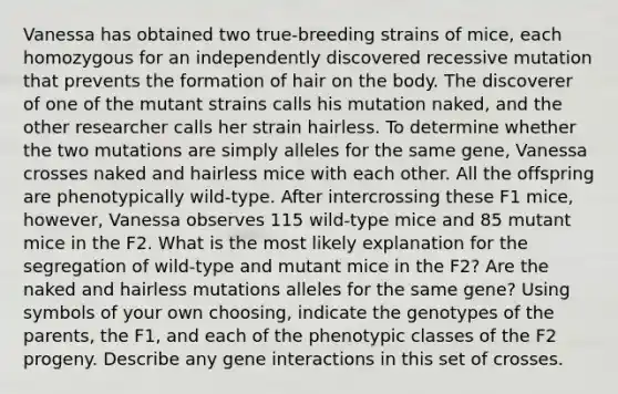 Vanessa has obtained two true-breeding strains of mice, each homozygous for an independently discovered recessive mutation that prevents the formation of hair on the body. The discoverer of one of the mutant strains calls his mutation naked, and the other researcher calls her strain hairless. To determine whether the two mutations are simply alleles for the same gene, Vanessa crosses naked and hairless mice with each other. All the offspring are phenotypically wild-type. After intercrossing these F1 mice, however, Vanessa observes 115 wild-type mice and 85 mutant mice in the F2. What is the most likely explanation for the segregation of wild-type and mutant mice in the F2? Are the naked and hairless mutations alleles for the same gene? Using symbols of your own choosing, indicate the genotypes of the parents, the F1, and each of the phenotypic classes of the F2 progeny. Describe any gene interactions in this set of crosses.