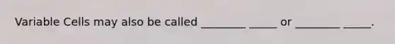 Variable Cells may also be called ________ _____ or ________ _____.