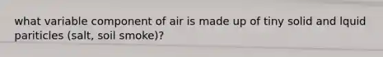 what variable component of air is made up of tiny solid and lquid pariticles (salt, soil smoke)?