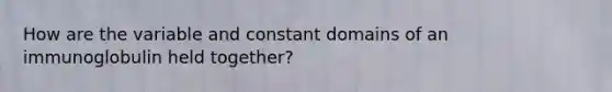 How are the variable and constant domains of an immunoglobulin held together?