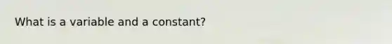 What is a variable and a constant?