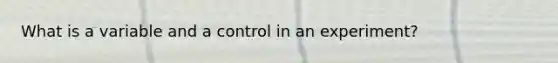 What is a variable and a control in an experiment?