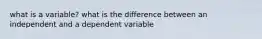 what is a variable? what is the difference between an independent and a dependent variable