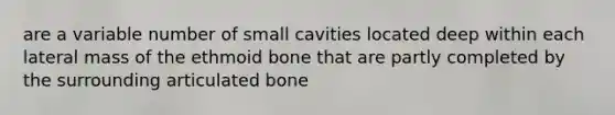 are a variable number of small cavities located deep within each lateral mass of the ethmoid bone that are partly completed by the surrounding articulated bone