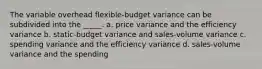 The variable overhead flexible-budget variance can be subdivided into the _____. a. price variance and the efficiency variance b. static-budget variance and sales-volume variance c. spending variance and the efficiency variance d. sales-volume variance and the spending