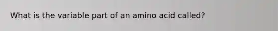 What is the variable part of an amino acid called?