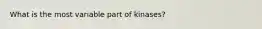 What is the most variable part of kinases?