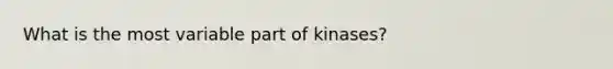 What is the most variable part of kinases?