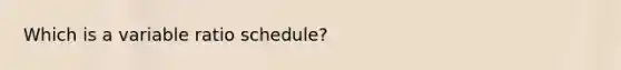 Which is a variable ratio schedule?