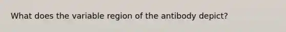 What does the variable region of the antibody depict?