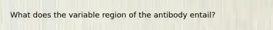 What does the variable region of the antibody entail?