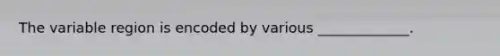 The variable region is encoded by various _____________.