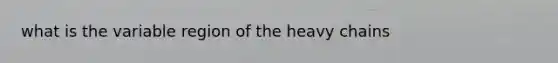 what is the variable region of the heavy chains