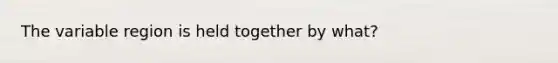 The variable region is held together by what?