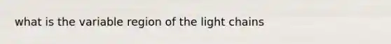 what is the variable region of the light chains