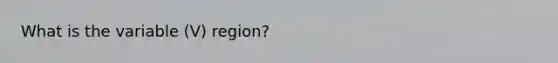 What is the variable (V) region?