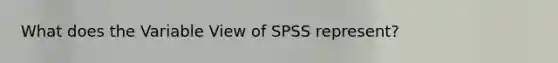 What does the Variable View of SPSS represent?