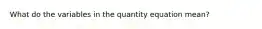 What do the variables in the quantity equation mean?