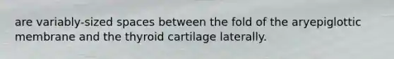 are variably-sized spaces between the fold of the aryepiglottic membrane and the thyroid cartilage laterally.