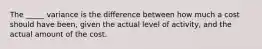 The _____ variance is the difference between how much a cost should have been, given the actual level of activity, and the actual amount of the cost.