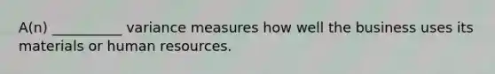 A(n) __________ variance measures how well the business uses its materials or human resources.