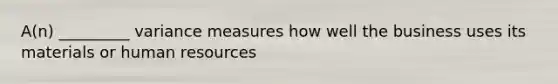 A(n) _________ variance measures how well the business uses its materials or human resources