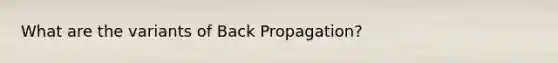 What are the variants of Back Propagation?