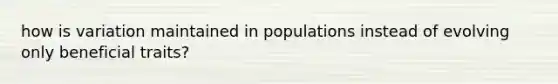 how is variation maintained in populations instead of evolving only beneficial traits?