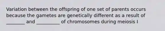 Variation between the offspring of one set of parents occurs because the gametes are genetically different as a result of ________ and __________ of chromosomes during meiosis I