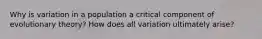 Why is variation in a population a critical component of evolutionary theory? How does all variation ultimately arise?