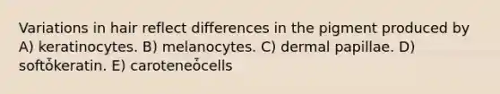 Variations in hair reflect differences in the pigment produced by A) keratinocytes. B) melanocytes. C) dermal papillae. D) softȱkeratin. E) caroteneȱcells