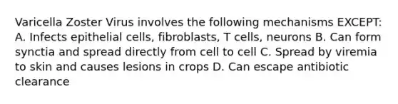 Varicella Zoster Virus involves the following mechanisms EXCEPT: A. Infects epithelial cells, fibroblasts, T cells, neurons B. Can form synctia and spread directly from cell to cell C. Spread by viremia to skin and causes lesions in crops D. Can escape antibiotic clearance