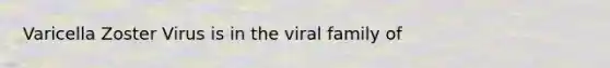 Varicella Zoster Virus is in the viral family of