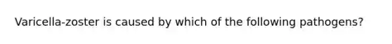 Varicella-zoster is caused by which of the following pathogens?