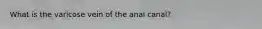 What is the varicose vein of the anal canal?