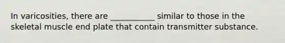 In varicosities, there are ___________ similar to those in the skeletal muscle end plate that contain transmitter substance.