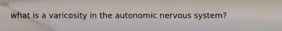 what is a varicosity in the autonomic nervous system?