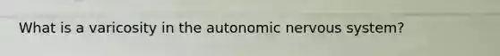 What is a varicosity in the autonomic nervous system?