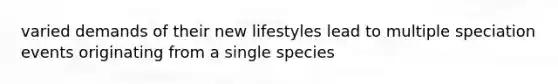 varied demands of their new lifestyles lead to multiple speciation events originating from a single species