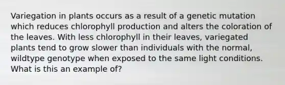 Variegation in plants occurs as a result of a genetic mutation which reduces chlorophyll production and alters the coloration of the leaves. With less chlorophyll in their leaves, variegated plants tend to grow slower than individuals with the normal, wildtype genotype when exposed to the same light conditions. What is this an example of?